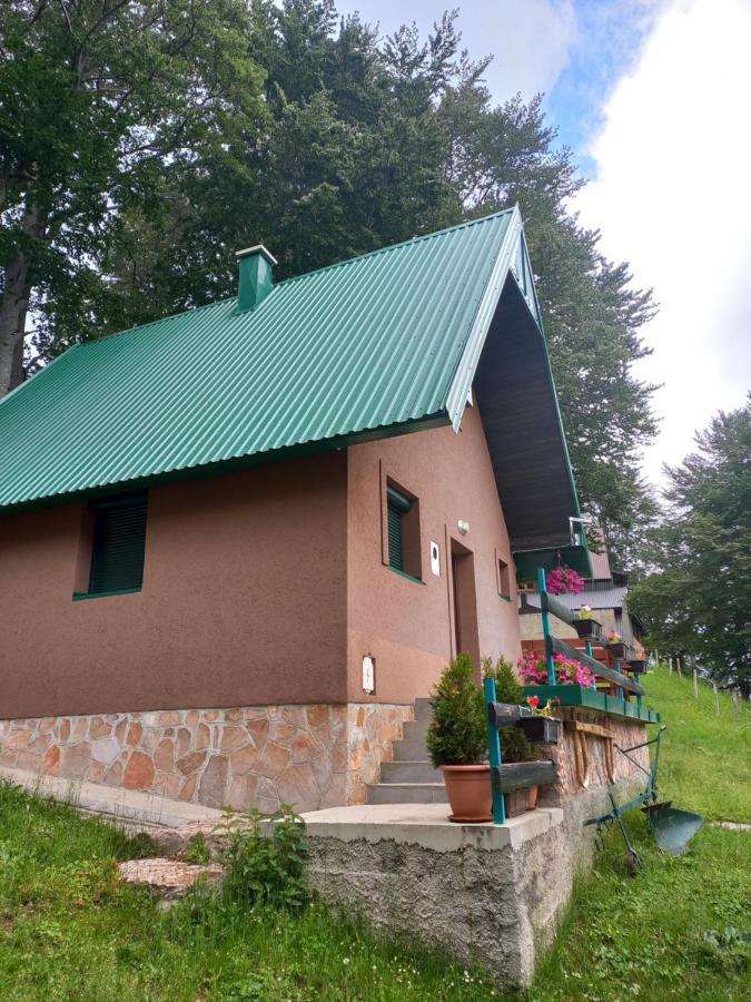 Vila Darija Žabljak Kültér fotó